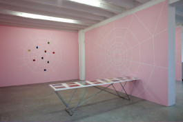 Dunja Evers_symetrical cortex