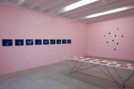 Dunja Evers_symetrical cortex