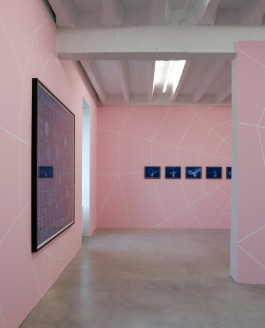 Dunja Evers_symetrical cortex