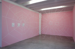 Dunja Evers_Symetrical-Cortex