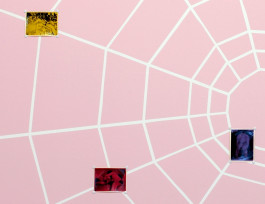 Dunja Evers_symetrical cortex