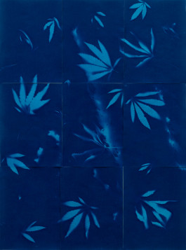 dunja-evers_a_sunny_afternoon