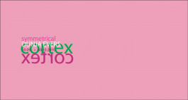 Dunja Evers_symetrical cortex